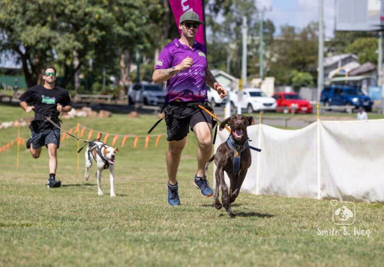 Dog Sports Australia